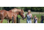 Stacaravan op Het Caitwickerzand  Veluwe met paardenweide VMP077
